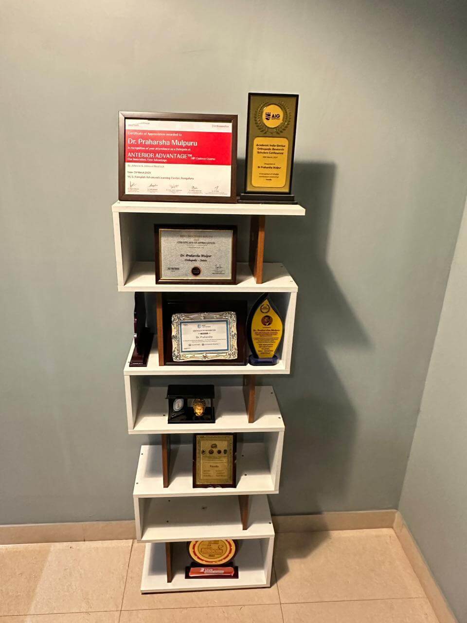 Awards Shelf